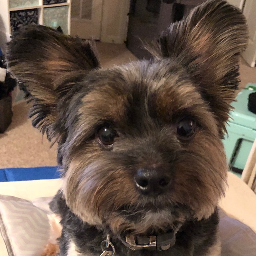 Meet your Posher, Becka